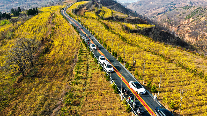 卢氏Y041望家山-窑子沟路---1.png