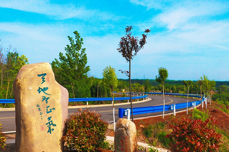 义马Y003张石线-1.jpg